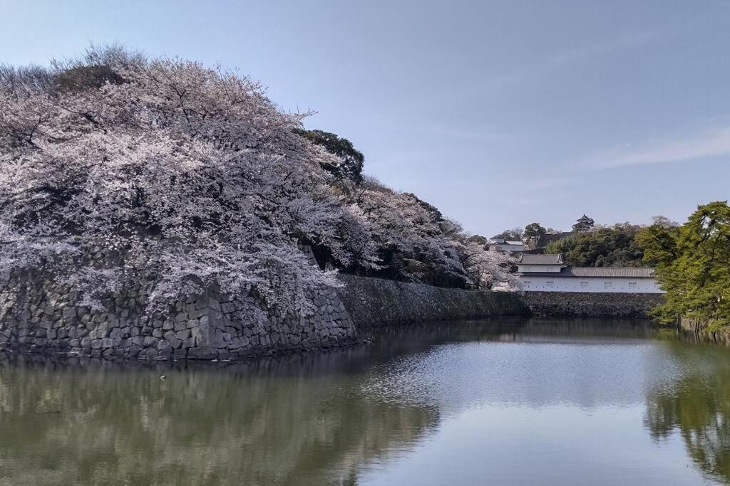 Villa Hikone Castle Exterior photo